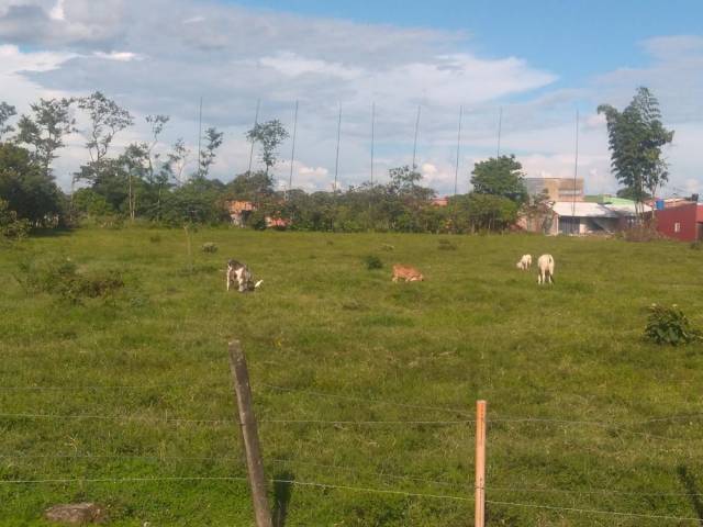 VENTA DE UNA (1) HECTAREA URBANA EN ACACIAS-META