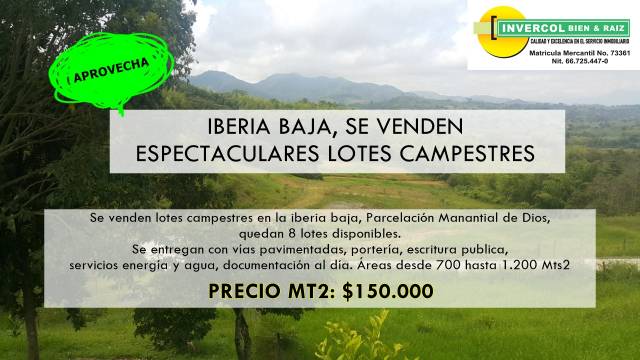 IBERIA BAJA, SE VENDEN ESPECTACULARES LOTES CAMPESTRES