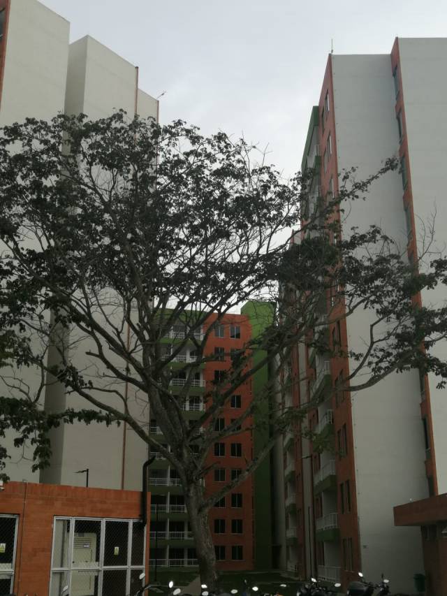 Apartamento en Conjunto Pradera sector Bochalema, estrenar