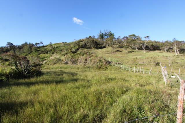 Casa lote entre Guarne y Girardota, vereda Ovejas