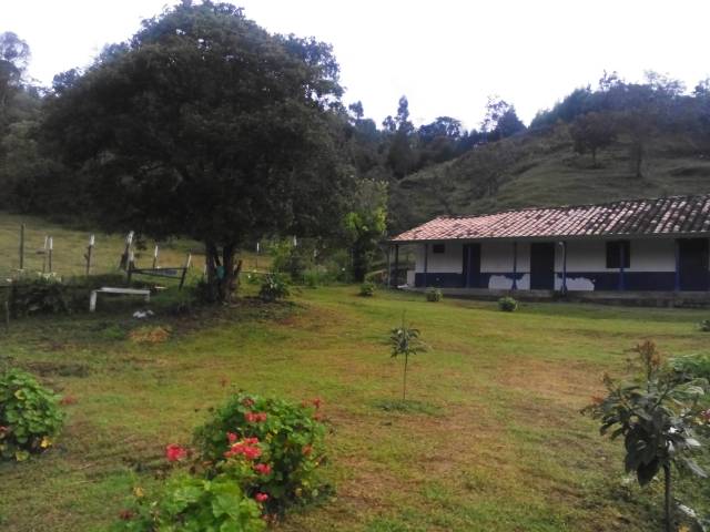 Lote en Guarne, vereda El Molino