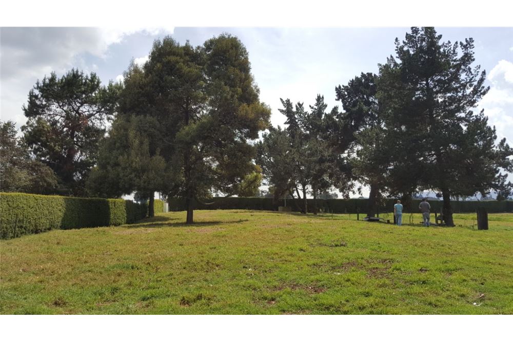 Lote venta Tenjo Meridor 10.000M2 conjunto