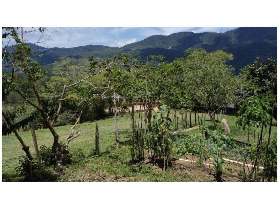 Venta de Lote en San Luis Antioquia