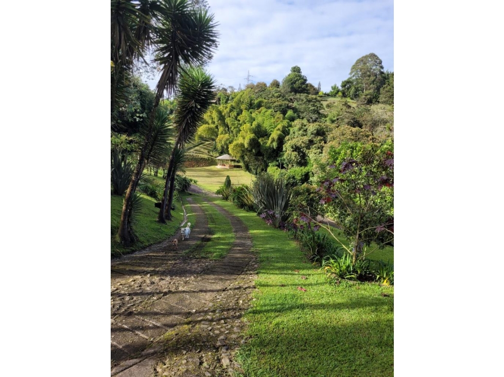 VENTA DE HERMOSA FINCA EN CALDAS ANTIOQUIA