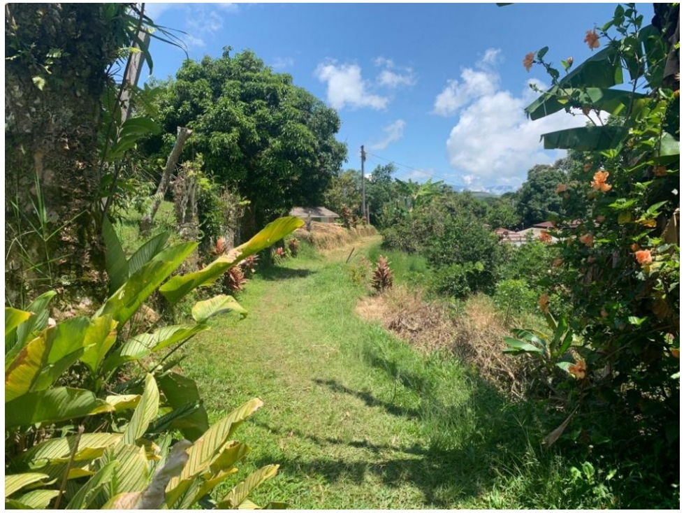 FINCA PARA LA VENTA EN EBEJICO