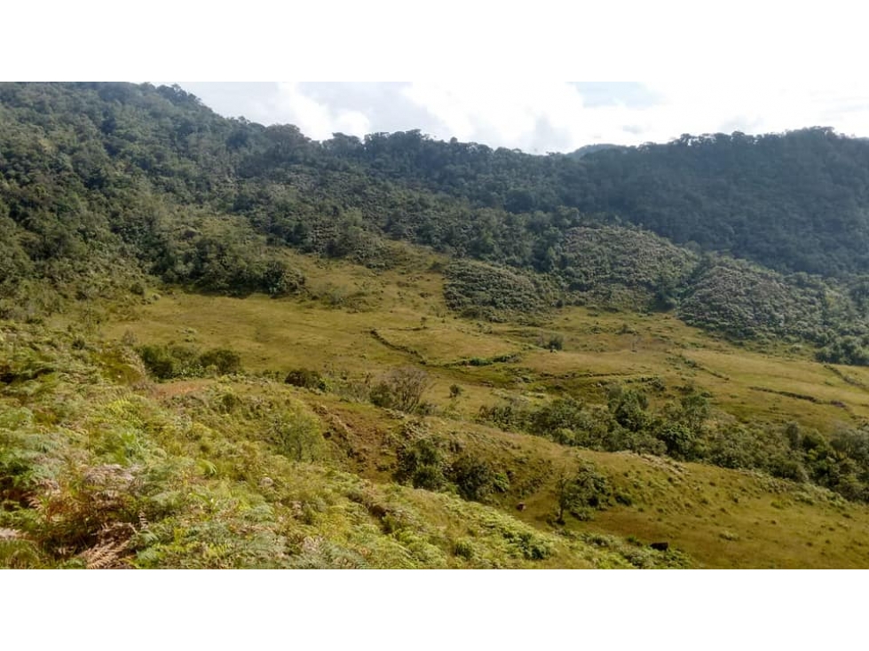 Venta de lote en El Carmen Antioquia