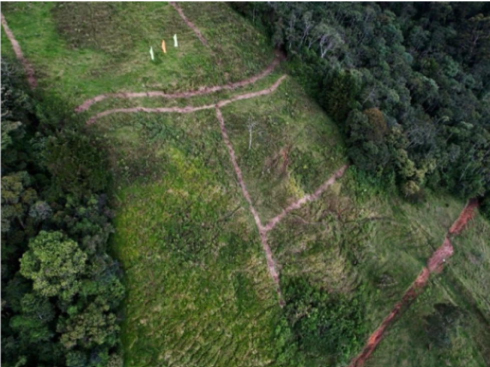 Lote Terreno Nro.9 - La Corralita, Caldas Antioquia