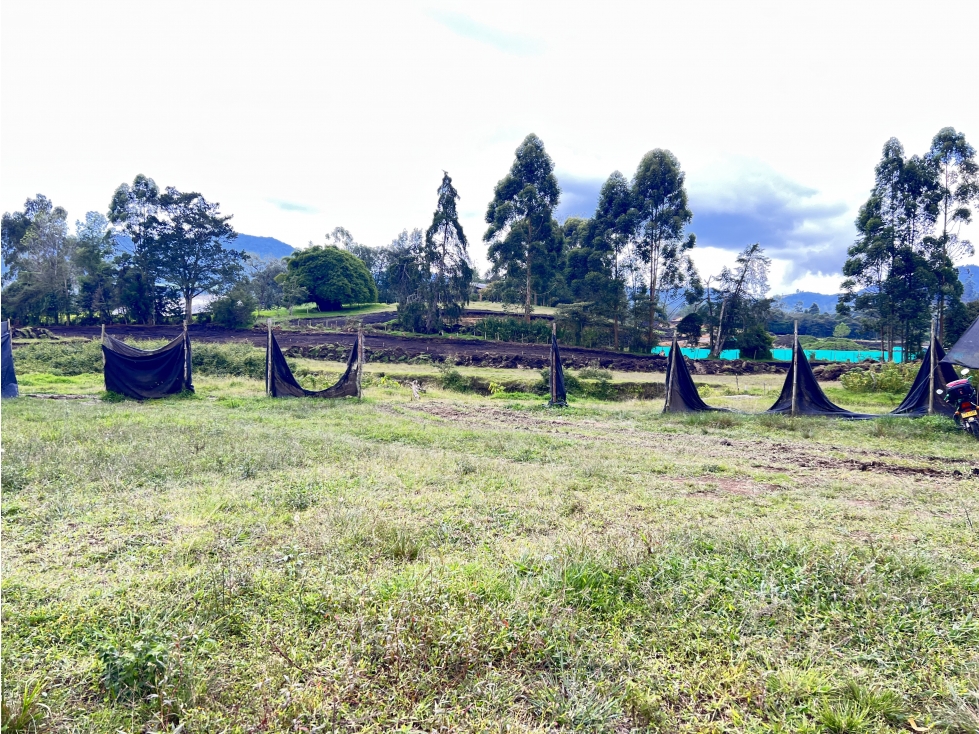 Venta de lote en zona urbana de  la Ceja Antioquia
