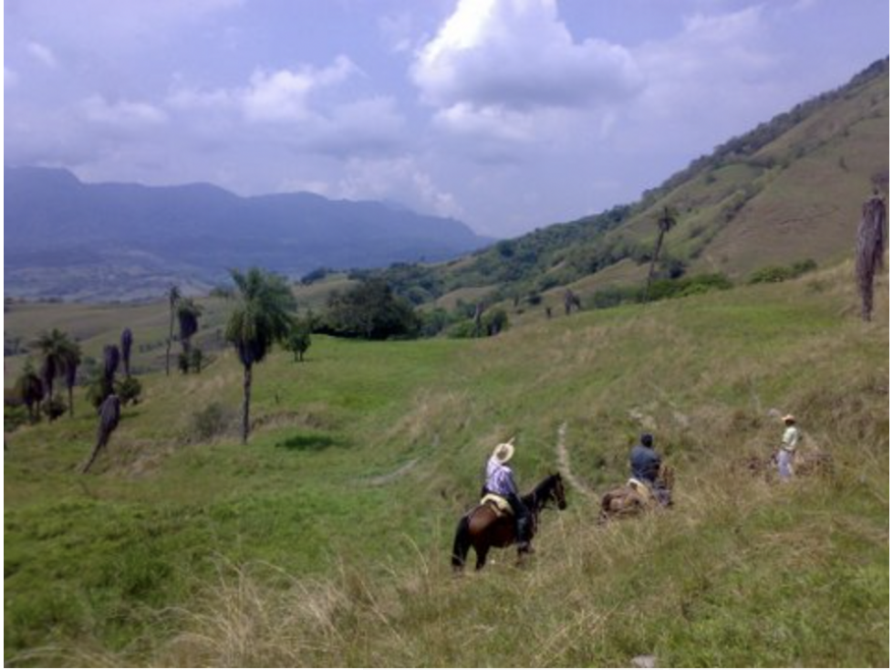 Incredible 1,209 acres in prime cattle country 1.5 hours from Medellin