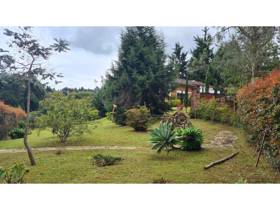 FINCA EN VENTA GUARNE ANTIOQUIA BAJO PRECIO