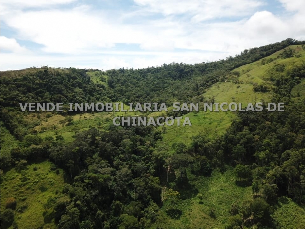 VENDO FINCA EN DURANIA