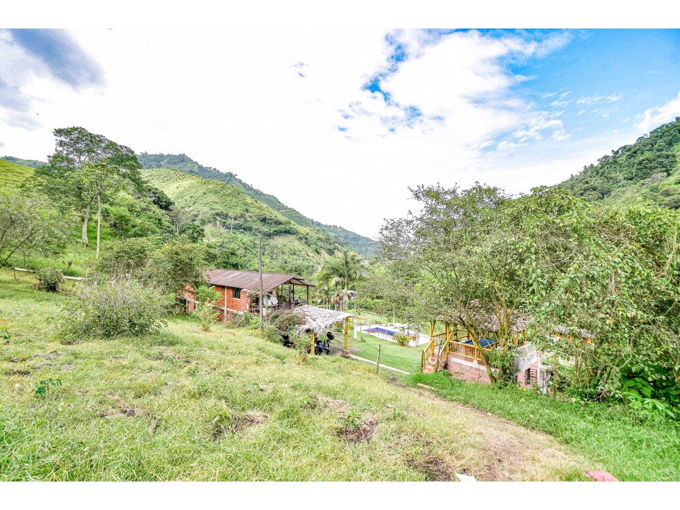 Venta Finca Vereda el Guineo, Neira, Caldas