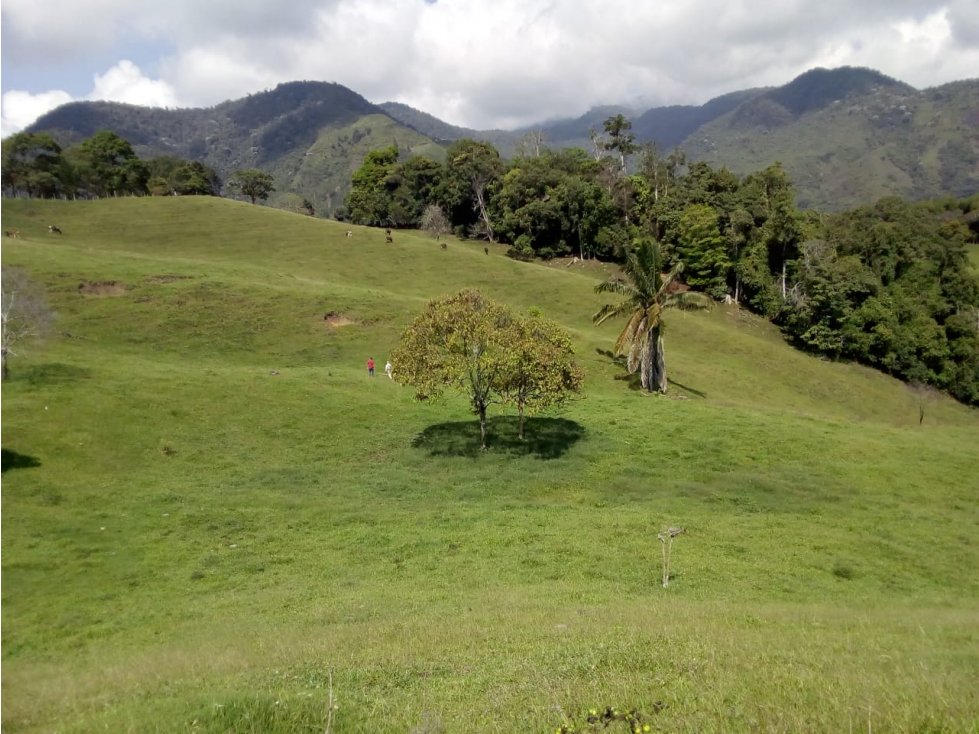 Venta de Finca Ganadera en Río Frío, Tuluá Valle