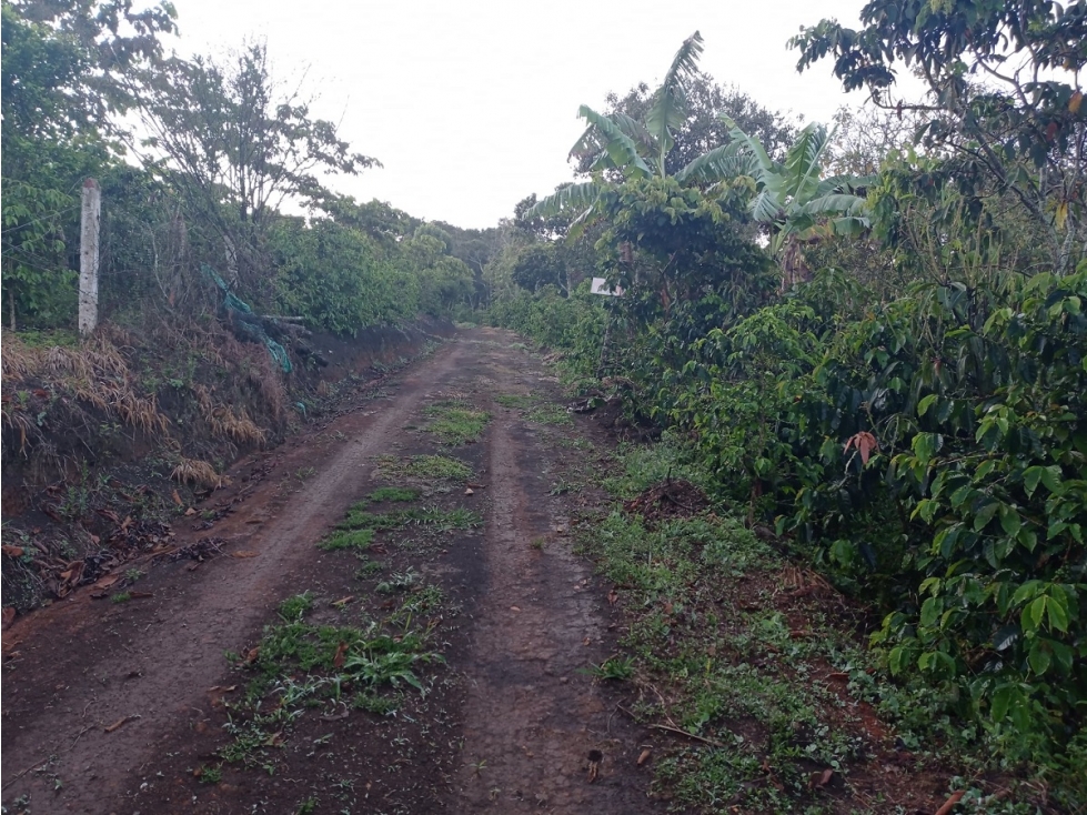 Finca en Venta, Palmas del Socorro, Santander