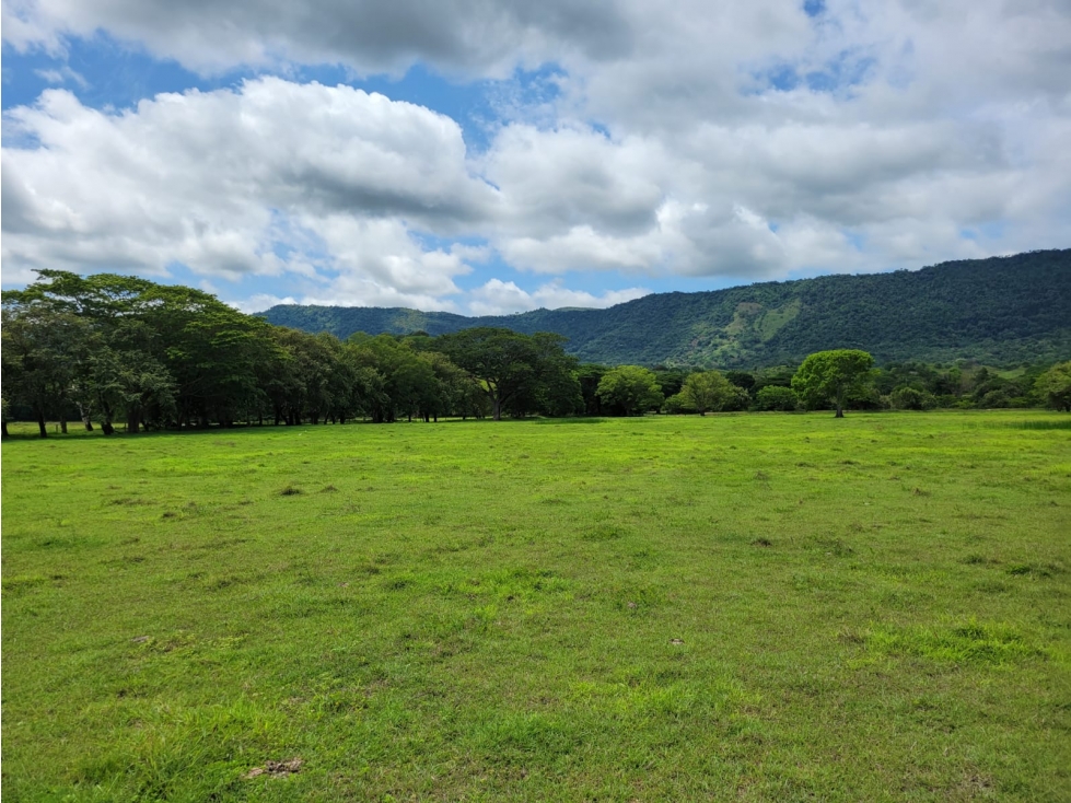 VENDO FINCA GANADERA POR PUERTO SALGAR 402 CUADRAS