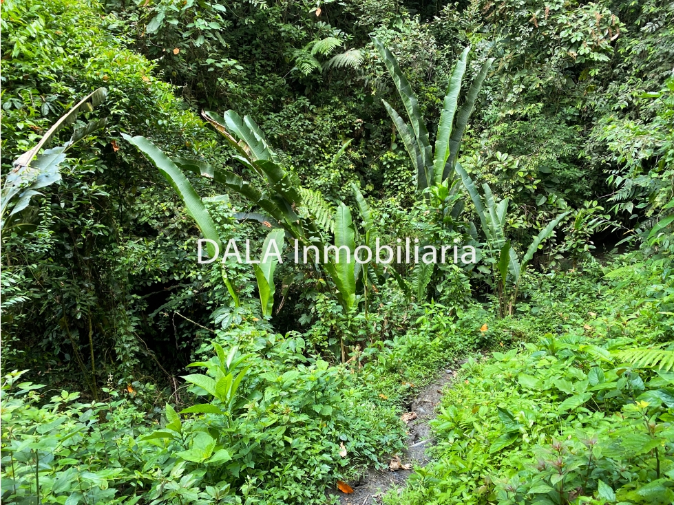 SE VENDE HERMOSA FINCA EN LA PEÑA CUNDINAMARCA