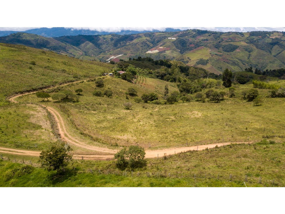 Venta Lote de 4667Mts2 en La Cumbre, Valle del Cauca L-B4-6