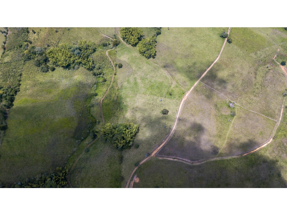 Venta Lote de 4667mts2 en La Cumbre, Valle del Cauca LB4-4