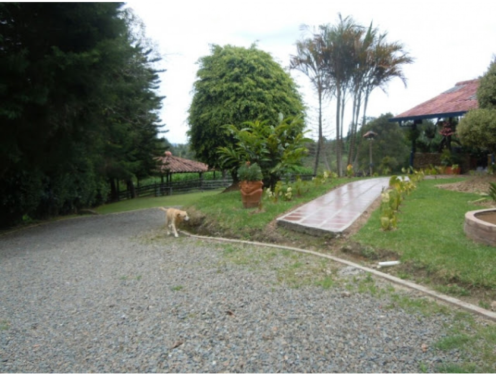 En venta Finca Guarne