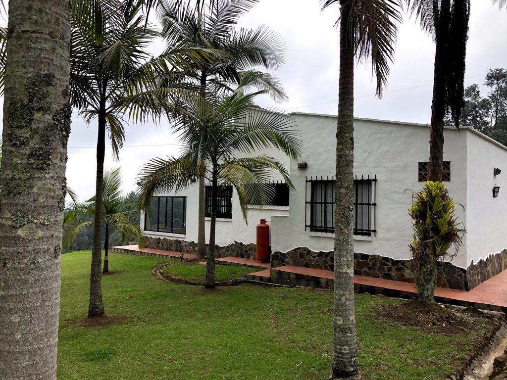 VENTA FINCA VARIANTE PALMAS-VEREDA YARUMAL SAJONIA