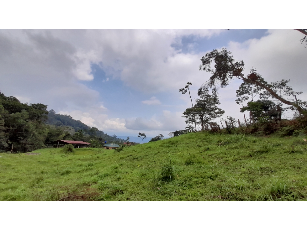 Lote en Vereda Antioquia (El Colegio) RAH CO: 23-136