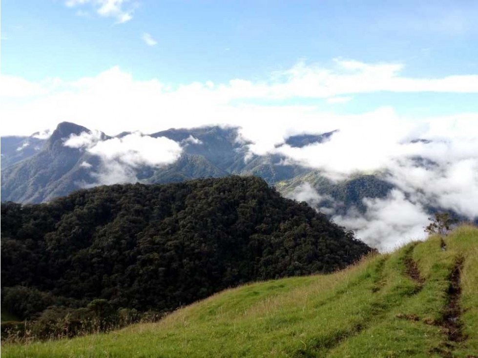 Hermosa Finca Zonas de Conservacion