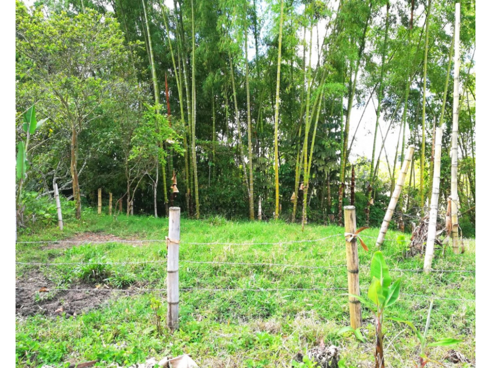 FINCA EN PASTO , SIRVE PARA  PLATANO Y CAFÉ  EN  VENTA 4830