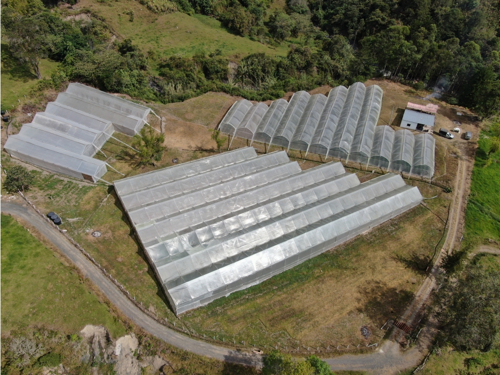 SE VENDE FINCA DE PRODUCCIÓN EN PACHO CUNDINAMARCA