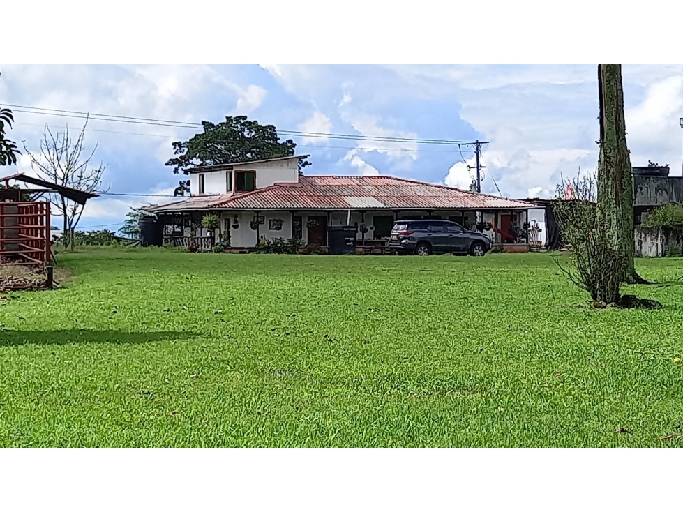 VENTA FINCA  CIRCASIA