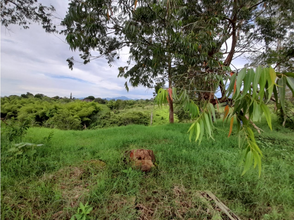 Venta Lote La Palmilla - Pereira