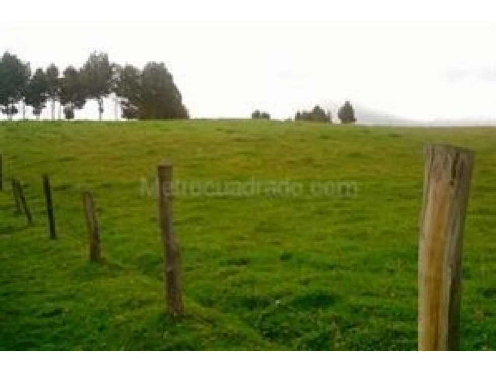LOTE EN VENTA EN SIBERIA 81.389 M2