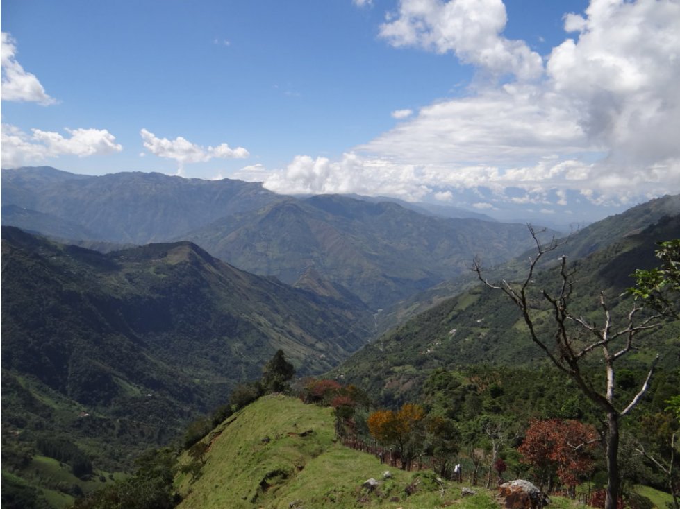 finca en venta Sonsón Antioquia 5 hectáreas espectacular vista.