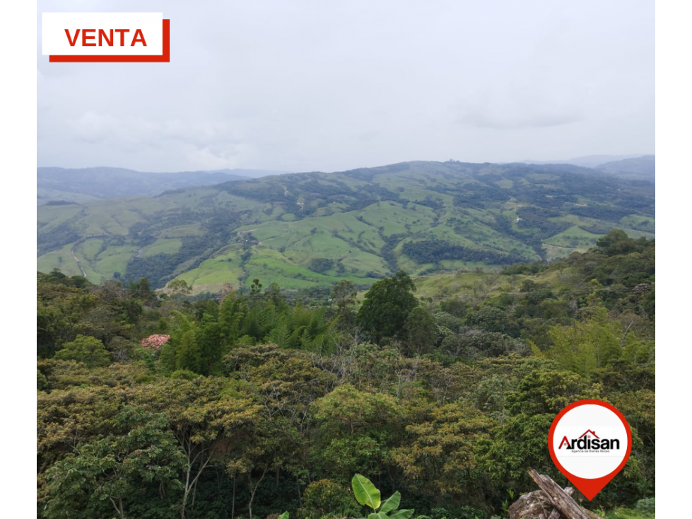 FINCA PRODUCTIVA - GUADALUPE SANTANDER