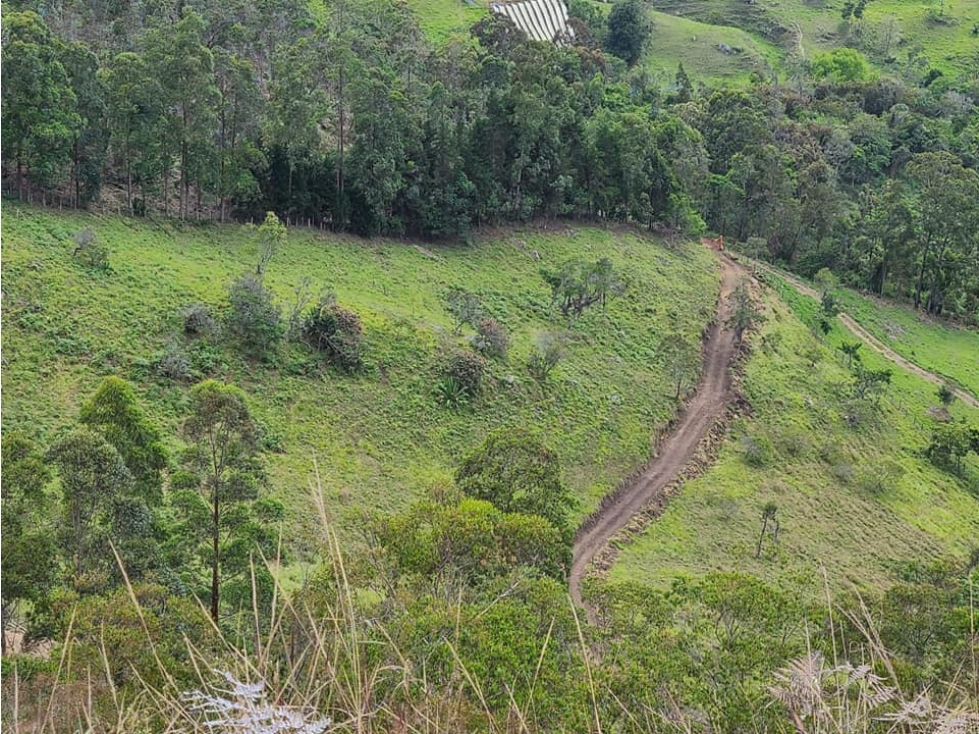 Vendo Finca En Pacho Cundinamarca