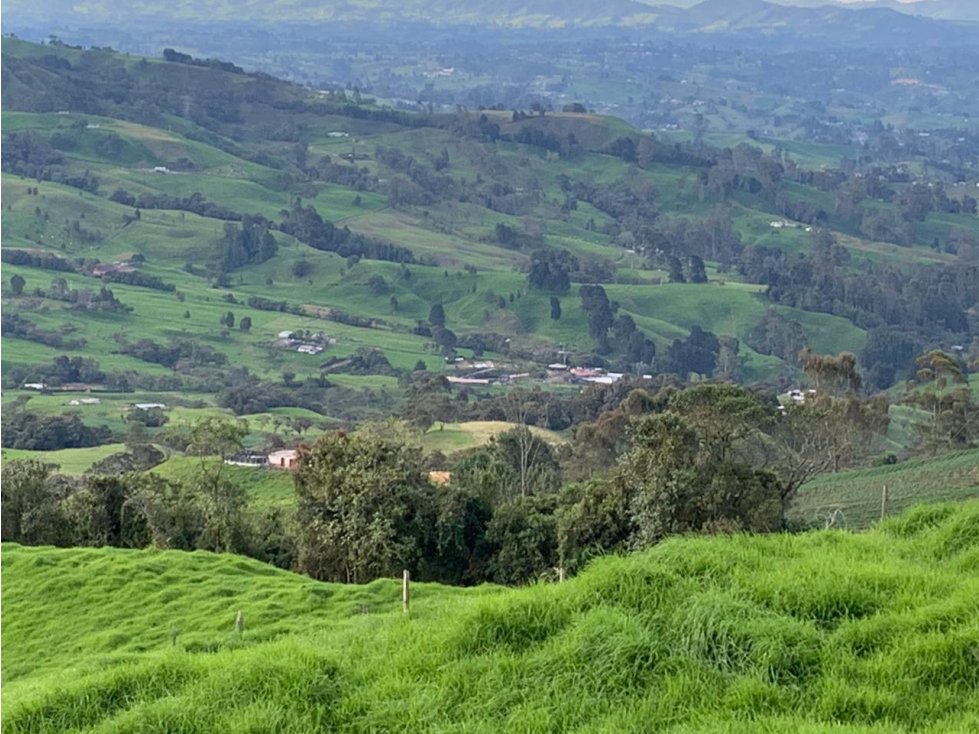 Vendo Finca Ganadera 66 cuadras Alto Boquerón