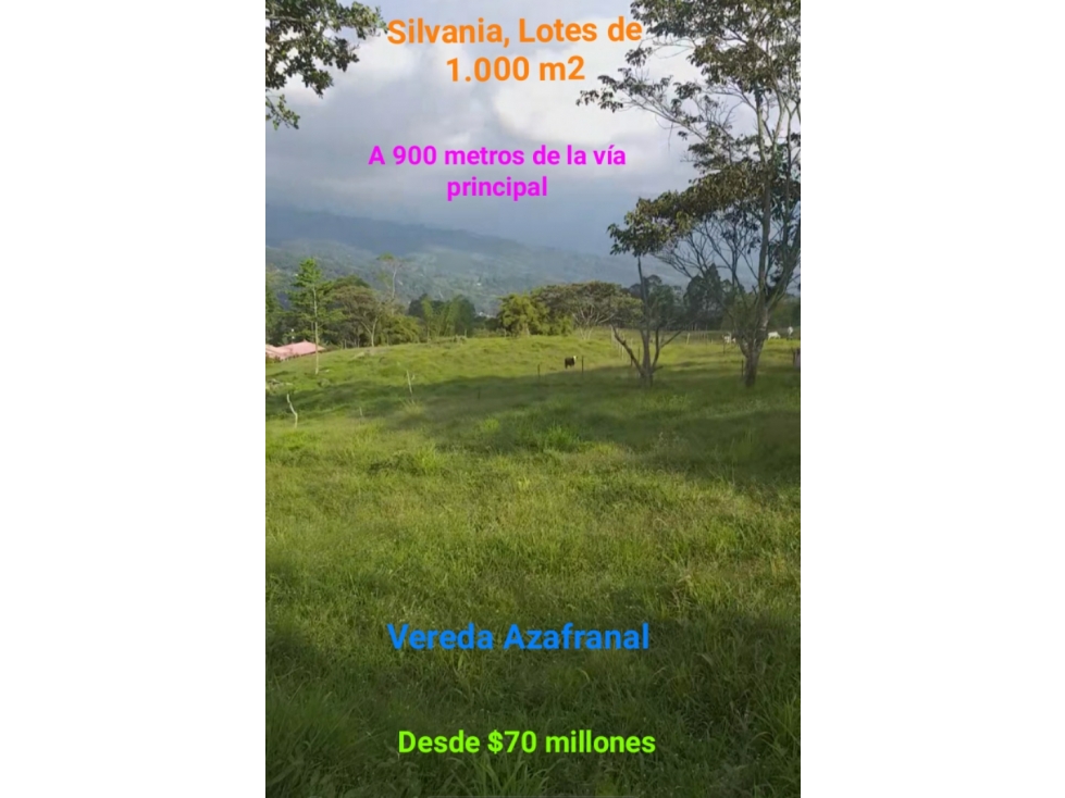 Venta lote Silvania. 1.000 m2