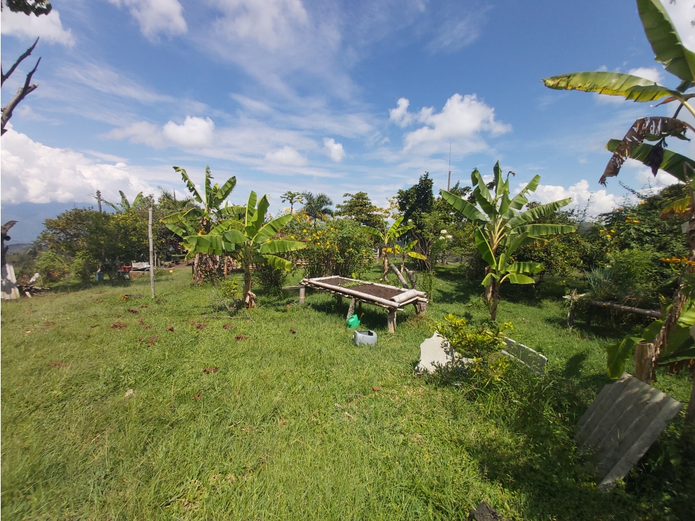 SE VENDE FINCA GANADERA 77.5 HECTAREAS