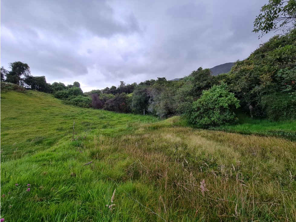 Venta Lote Tabio Cundinamarca