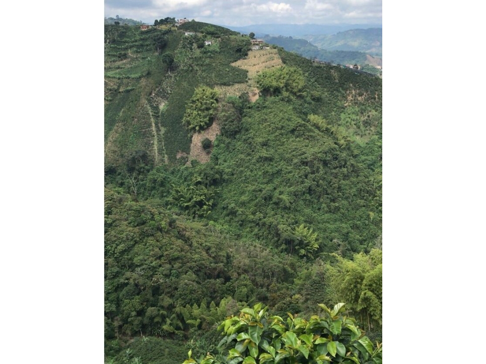 SE VENDE FINCA DE 33 CUADRAS EN LA VEREDA BAJO TABLAZO