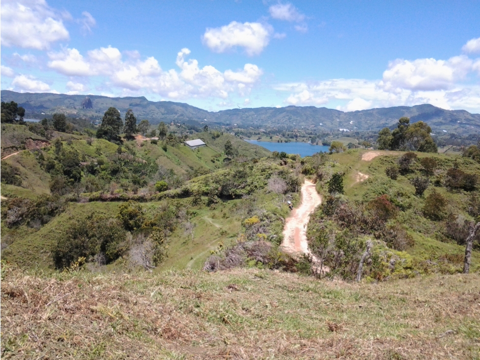 Venta de Lotes en el Peñol