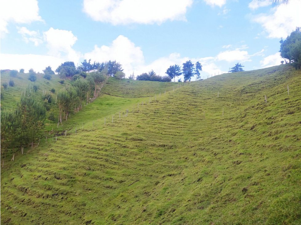 Venta Finca en Abejorral Antioquia