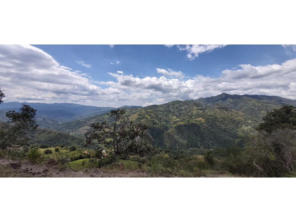 Vendo Lote Agrícola En La Vega Cundinamarca