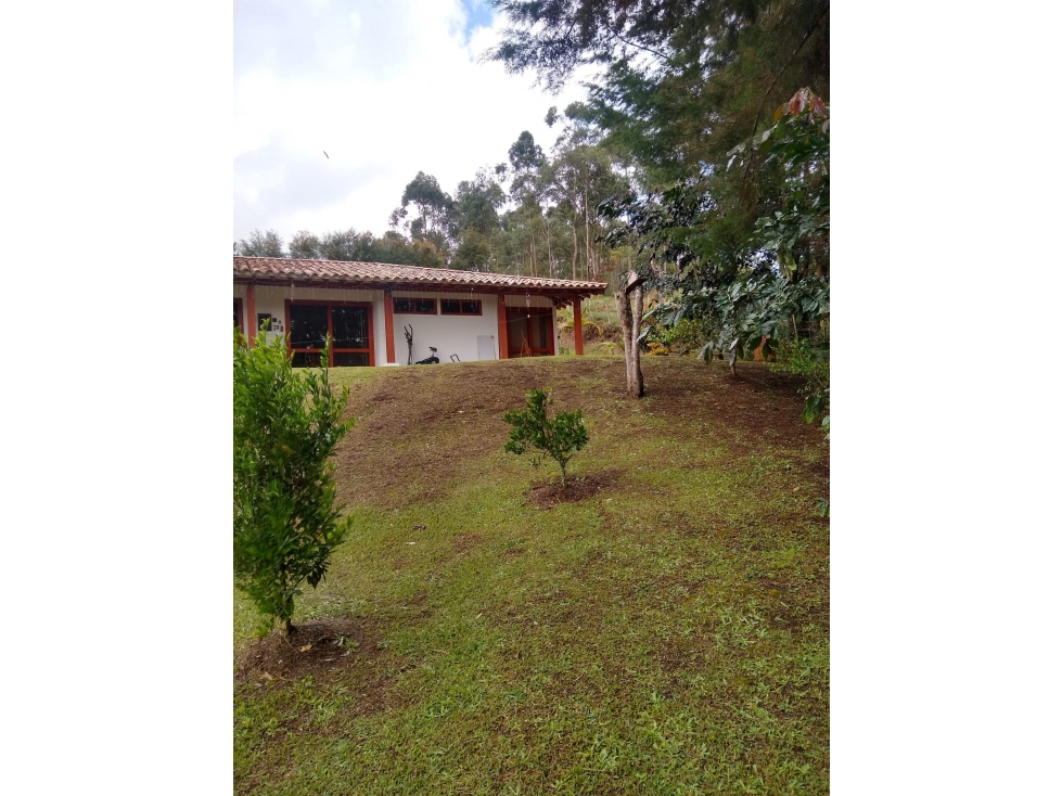 Finca en Venta en Rionegro - San Antonio de Pereira