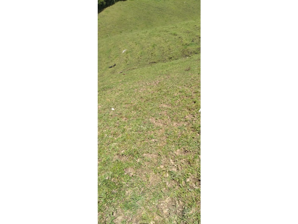 Venta Lote terreno en Carmen de Viboral, Antioquia