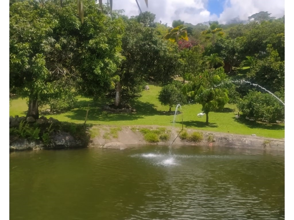 Finca en Venta Támesis, Antioquia