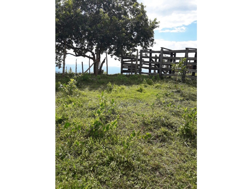 LOTE EN VENTA EN SAN JERONIMO, ANTIOQUIA