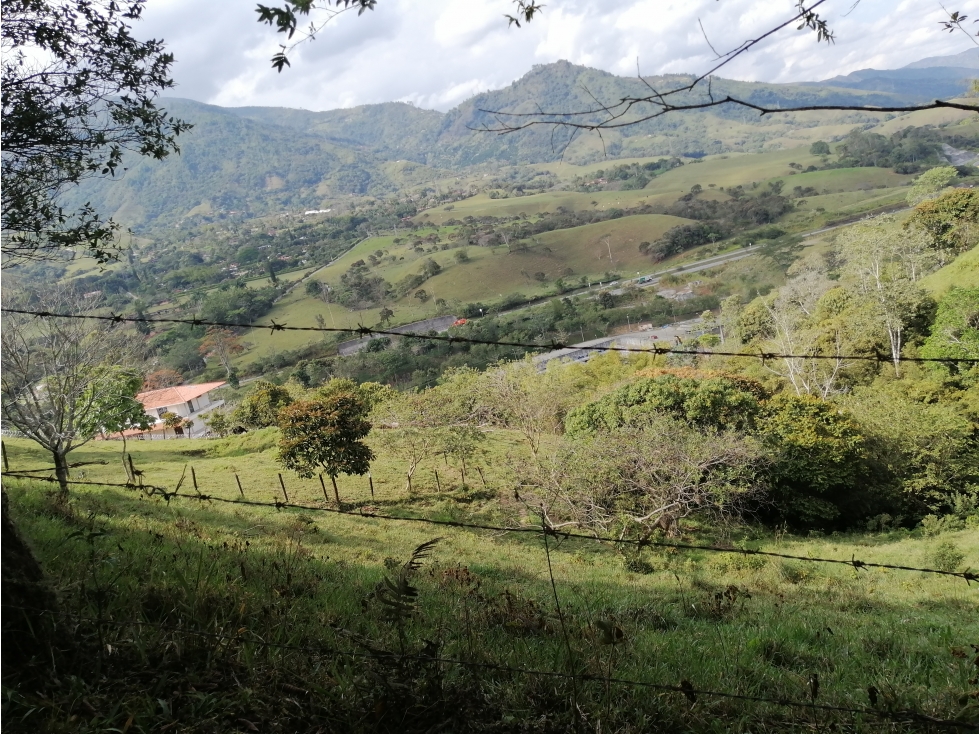 LOTE EN BARBOSA - POPALITO