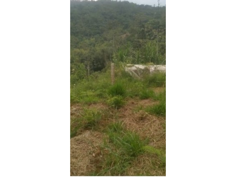 SE VENDE LOTE EN EL ROSARIO - BUITRERA  - VALLE DEL CAUCA