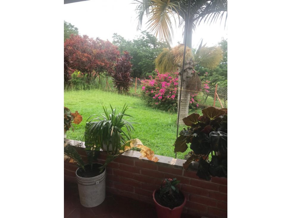 SE VENDE FINCA EN  ANSERMANUEVO  - VALLE CAUCA