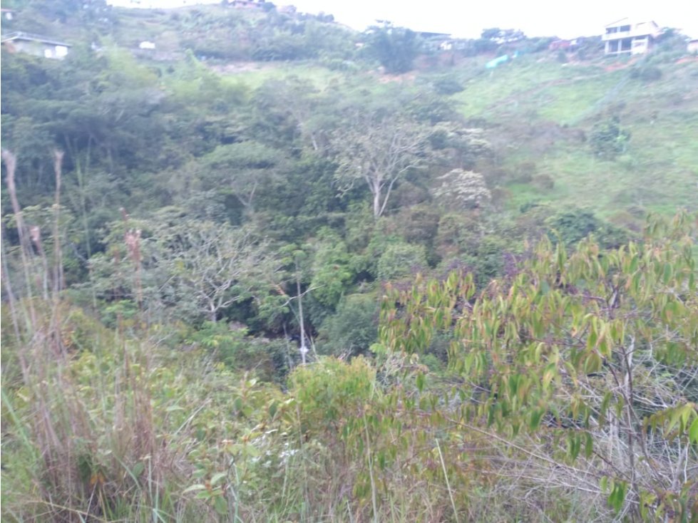 SE VENDE LOTE EN LA BUITRERA - VALLE DEL CAUCA